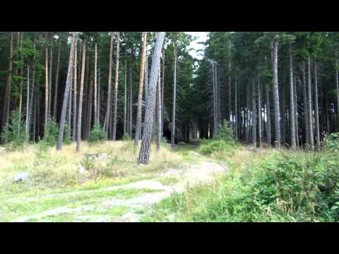 Stempelstelle 5 Froschfelsen - Harzer Wandernadel