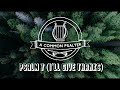 Psalm 7 (I'll Give Thanks)