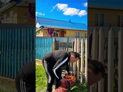 Яблучка і моркву частину віддаю для сусідів ❤️