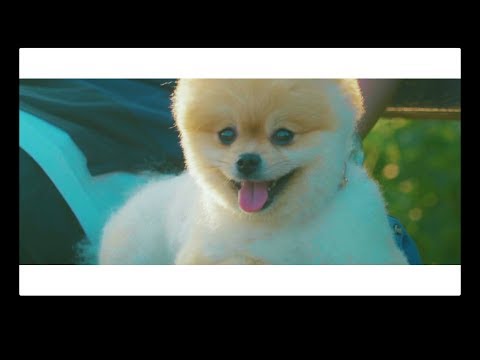 Video thumbnail for Joy