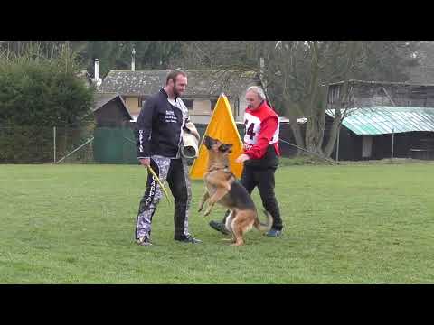 Svod NO 2017 - Ave Lahapo