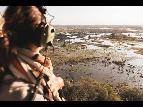 Wilderness Mombo: Meet Me At Mombo