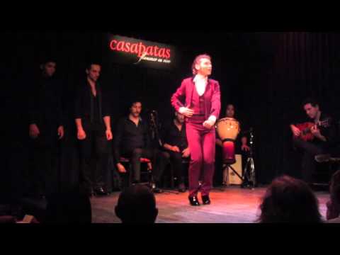 Adrián Brenes por Alegrías en Casa Patas