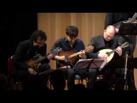 Ger Mandolin Ensemble 2011