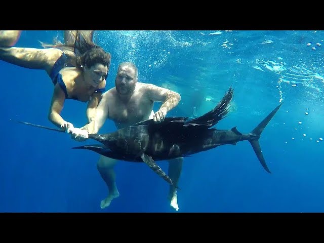 Deep Sea Sport Fishing | Costa Rica Spearfishing Adventure with Marlin | Jaco Royale Fishing Charter