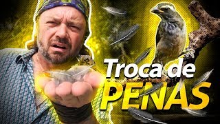 Miniatura do vídeo
