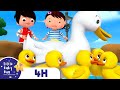 Five Little Ducks And Duckies FOUR HOURS Of Little Baby Bum Nursery Rhymes And Songs