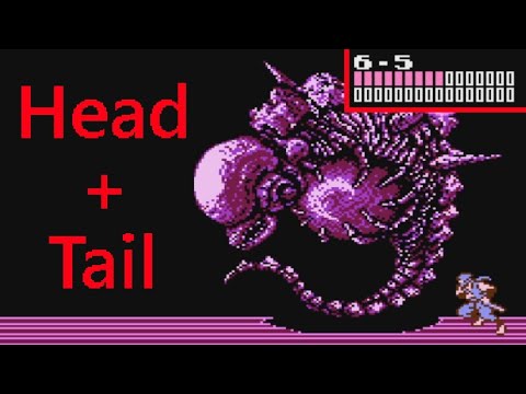 Headless & Tailless Demon Kill in Ninja Gaiden