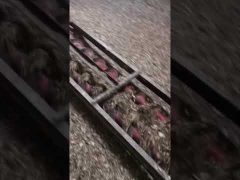 Silomatic silo unloader