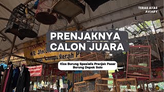 Download lagu Check the price of prenjak birds and masteran birds at Pasar Depok Solo kios 18-19 - Gacor Gacor. mp3
