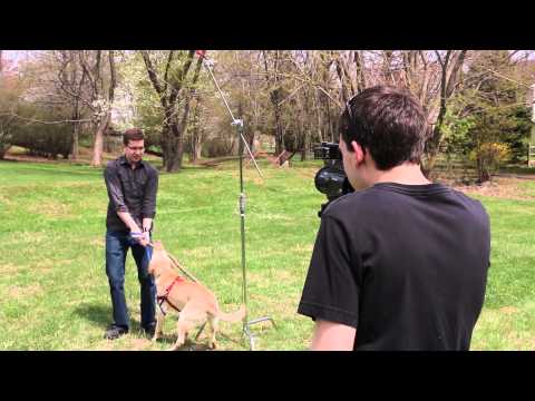 How to shoot in direct sunlight! (part one)