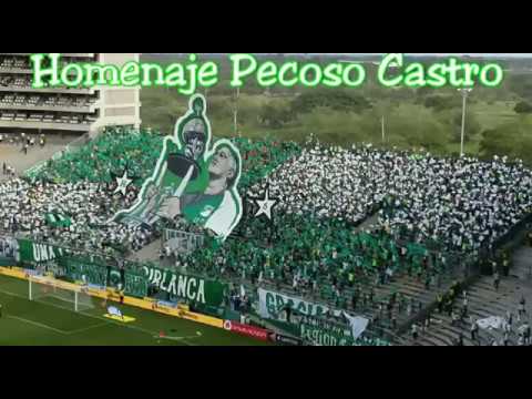 "Homenaje con Tifo al Pecoso Castro" Barra: Frente Radical Verdiblanco • Club: Deportivo Cali