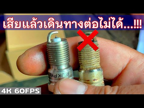 คลิกเพื่อดูคลิปวิดีโอ