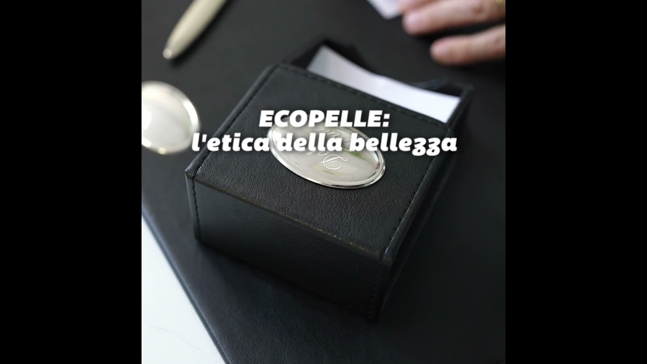 Anteprima video