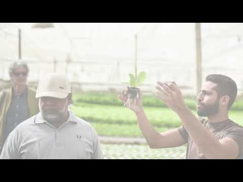 Blue Growth Initiative: Aquaponics