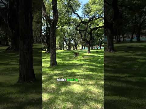 Almoçamos no meio do parque mais bonito de Santa Fé, na Argentina 🇦🇷