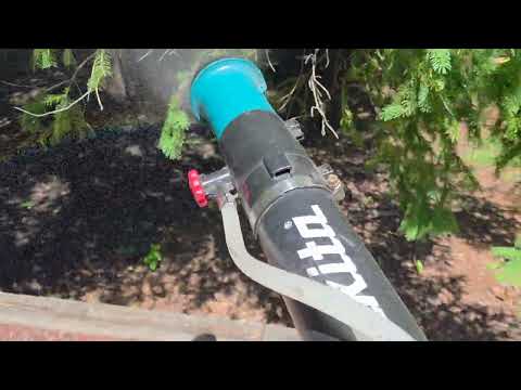 Reducing the Mosquitoes Around the Home in...