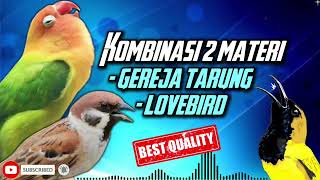 Download lagu MASTERAN SOGON | KOMBINASI MATERI GEREJA DAN LOVEBIRD #sogon #sogongacor #sogokontong #kicaumania mp3