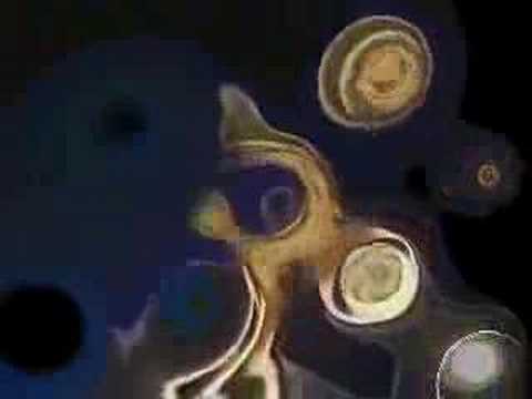 Odd Børre - Stress (Live & Redesigned)