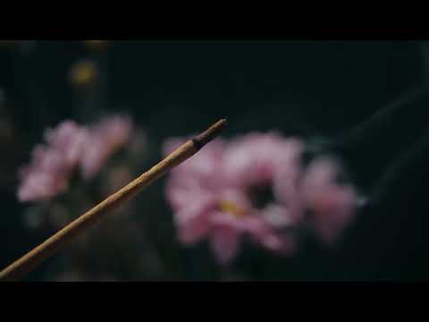 Tibetan Healing Music - Vibrations 334hz Brain Activation || 🍃 Soothing music calms the Soul 🍃