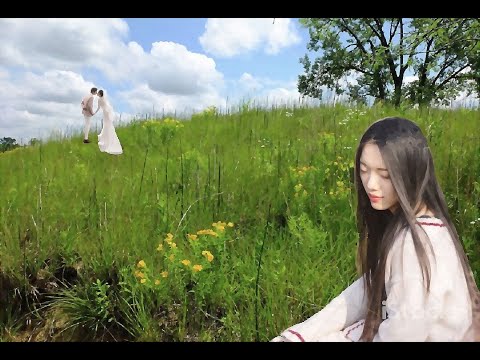 Vội vàng chi? - Hồng Tước