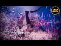 AYUDHA POOJA THEATRE EXPERIENCE