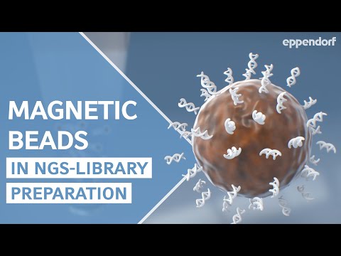 How to Handle Magnetic Beads During NGS Library Preparation