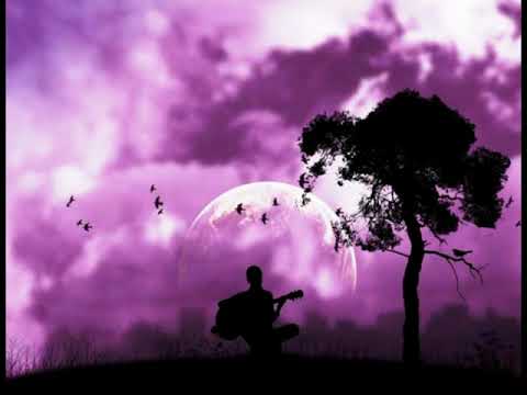 Sosna / František Nedvěd.