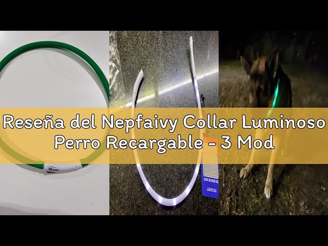 Vídeo relacionado con Nepfaivy Collar Luminoso Perro Recargable - 3 Modos Collar Perro Luz con Impermeable, Ajustable Collares LED para Perros Pequeños/Medianos/Grandes, Rosa