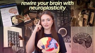 4 Principles to Upgrade Your Life With Neuroplasticity