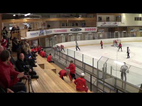 Haninge Anchors vs Tyresö Hanviken team 04 Match 16/17 Season  II period 2016 11 16