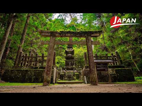 Discover Koyasan – A Spiritual Journey Through Japan’s Hidden Mountain | Wakayama, Japan Travel