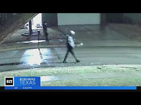 Who killed Ali Ismail?