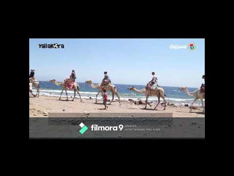 Why You Should Visit Dahab ?