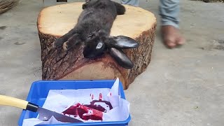 Rabbit meat cutting ||muyal kari #meatcuttingskills #whitemeat  .