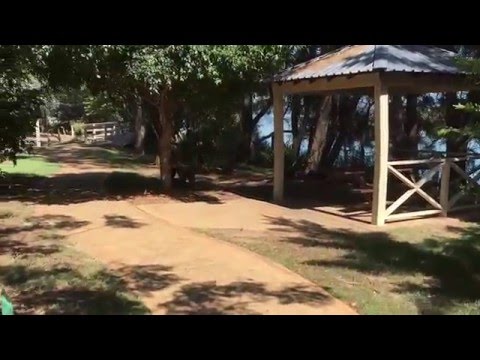 Sensory Gardens