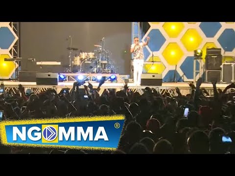 Coyo - Performing 'ZIWAFIKIE' at Fiesta 2017 concert in Mwanza (Sept. 23)