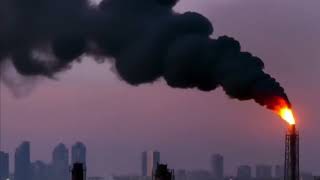 Carbon cycle