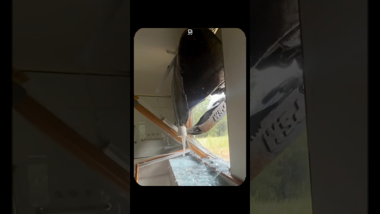 Video WBNOu6OOCF4