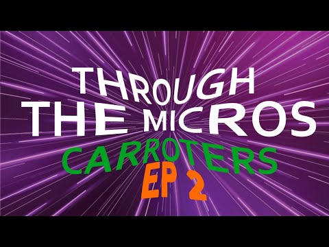A Guide To The Differences In Microstakes Levels (Carroters Through The Micros Part 2)