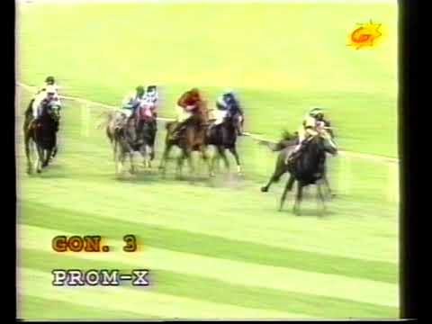 William=Nagroda Białki