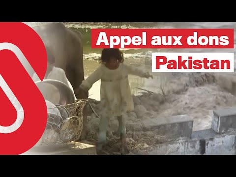 Inondations au Pakistan : Appel aux dons - Chaîne du Bonheur