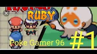 Pokemon indian ruby gameplay video #1