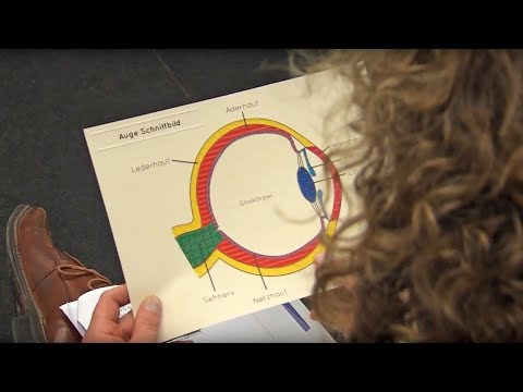 TRIALOG (13.11.2018)