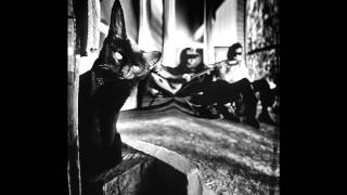 Danna Gillespie - Cat's Meow