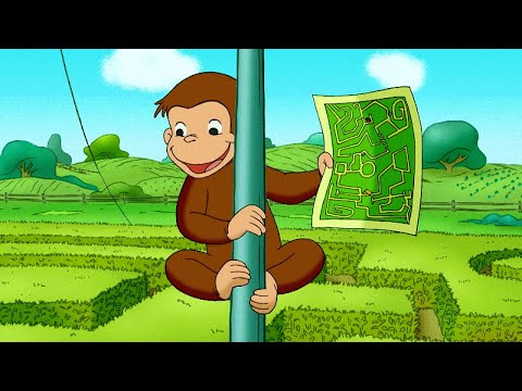Coco der Neugierige Affe | Coco lernt, wie es Eichhörnchen tun! | Cartoons für Kinder
