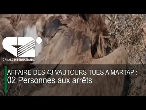 6:15 p.m. News, 01/22/2026 - Canal 2 international