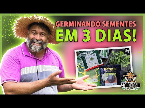 Como PLANTAR e germinar as SEMENTES em 3 dias