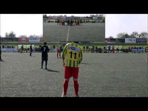 Samenvatting FVC - Rohda Raalte