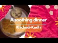 02 A Soothing Dinner Khichadi Kadhi Surviving Adulthood Dinner Routine Of An Indian Household